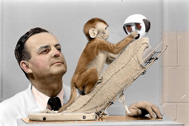 "La naturaleza del amor"