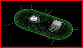 Avances Científicos 2010