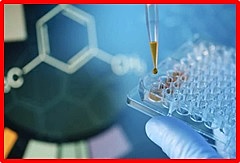 Avances Científicos 2012