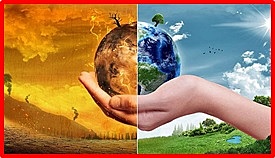 Avances Científicos 2013