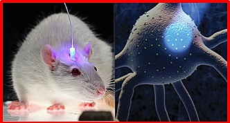 Impacto General 2014