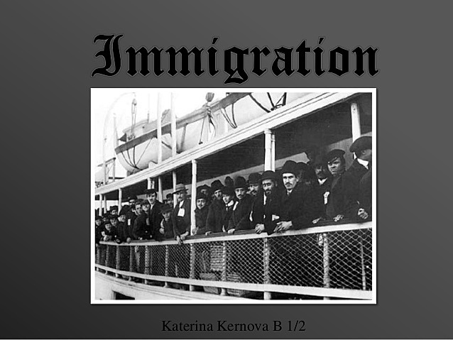 Immigration Politics
