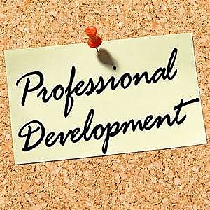 Collaborative Teaching Practice Professional Developement