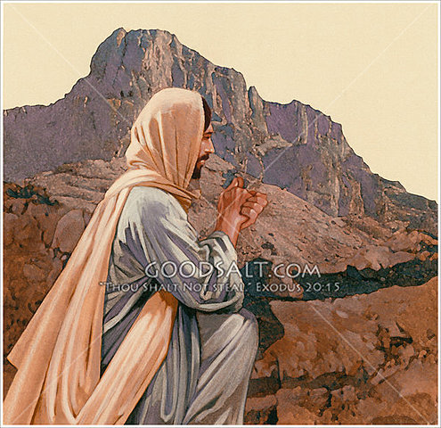 Tempted in the Wilderness