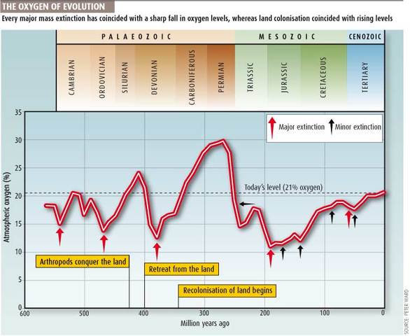 ( 2 BYA)  Oxygen levels reached todays levels.