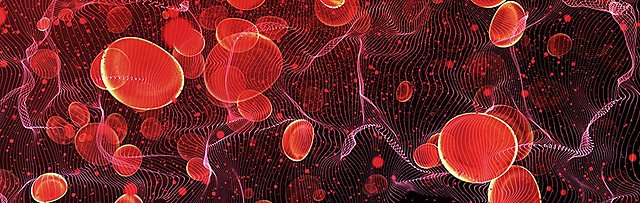 Anton van Leeuwenhoek: Microscopic View