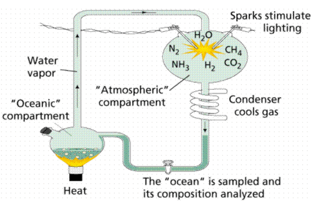 Urey and Miller (1953)