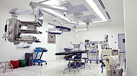 Timeline: Los cuatro humanismos