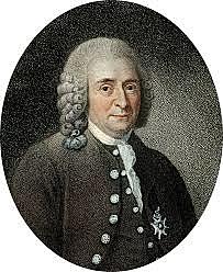 Carolus Linnaeus