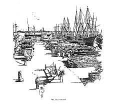 Salutary Neglect https://www.britannica.com/topic/salutary-neglect