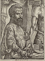 Vesalius