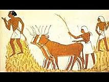 Surgimiento de la Agricultura y Ganaderia
