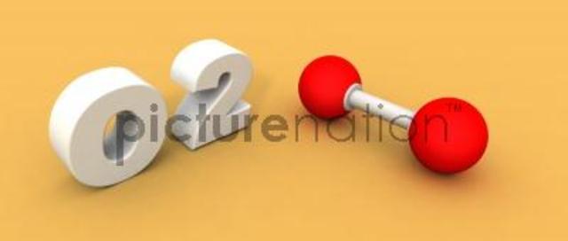 Oxygen Levels Reached Today"s Levels (2 BYA)