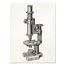The first microscope was invented