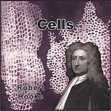 Robert Hooke discovered cells