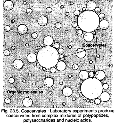 (1957) Microspheres and Coacervates