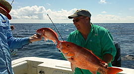 Timeline: Jess Thacker Timeline