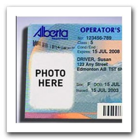 Got Drivers Lisence - Self Reliance