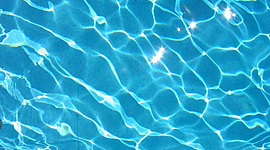 Timeline: History of Marine Biology