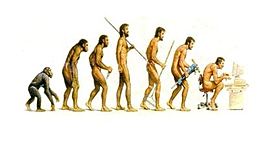 Timeline: Línea del Tiempo Evolución de Calidad