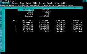 Hoja de calculo visicalc