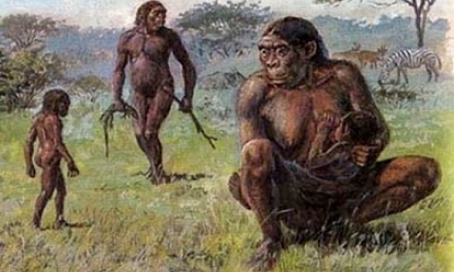 Los primeros hominidos
