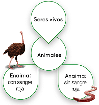 Aristóteles (edad antigua A.C)