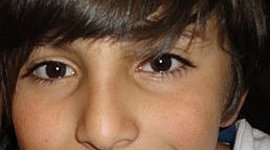 Timeline: Historia académica Tomás Tarazona