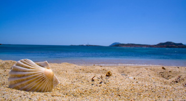 Values - My family's values