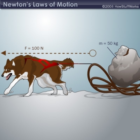 Activity 1.2 Newton's 2nd Law