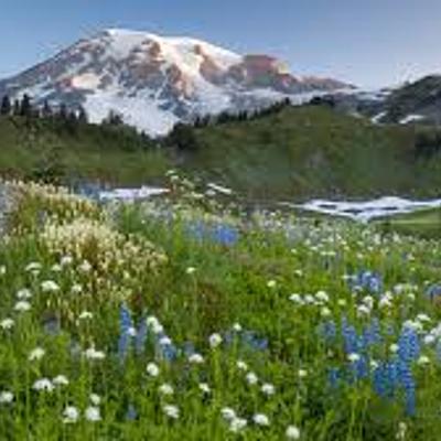 Timeline: Timeline Project