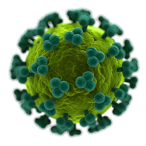 Robert Gallo identified the virus causing AIDS