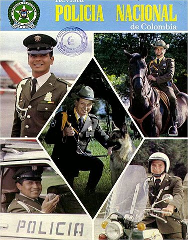 Cuerpo  Armado permanente Civil