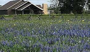 San Felipe de Austin