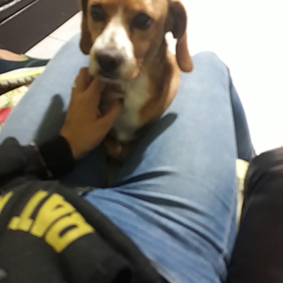 Timeline: El trabajo social