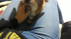 Timeline: El trabajo social