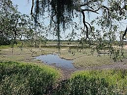 Battle of Bloody Marsh (GA)