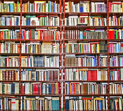 Autores en quienes basaban sus estudios los pensadores latinoamericanos