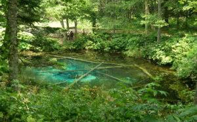 El clima y la vegetación