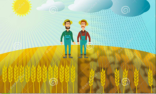 Poor harvest due to bad weather