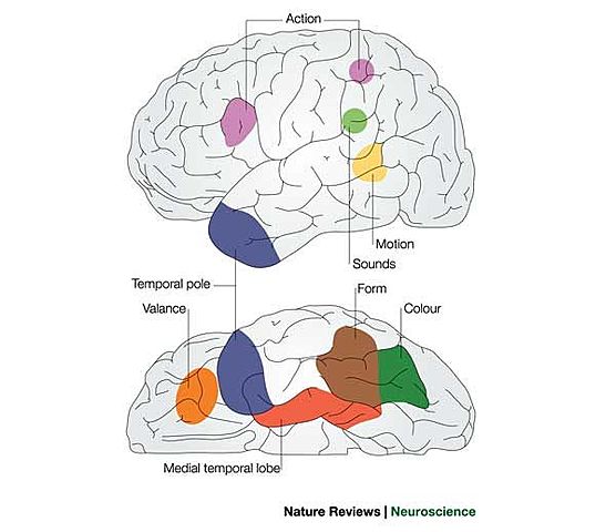 McClelland y Rumelhart