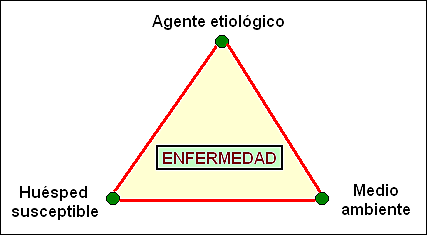 MODELO EPIDEMIOLOGICO DE LA TRIADA