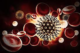 Virus de la Inmunodeficiencia Humana