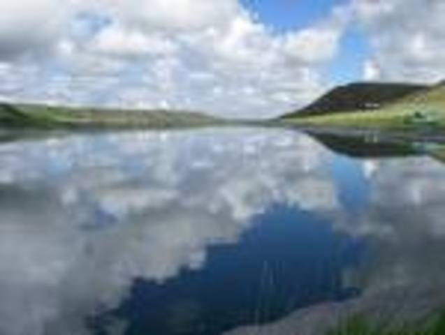 •	Water Quality Act