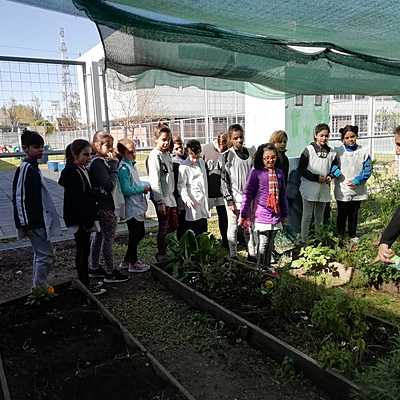 Timeline: Huerta agroecológica-Guada