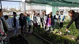 Timeline: Huerta agroecológica-Guada