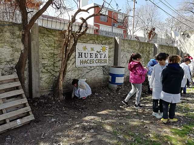 limpiesa del terreno