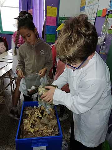 Preparación de compostera