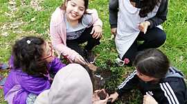 Timeline: HUERTA COMPOSTERA EMILIO