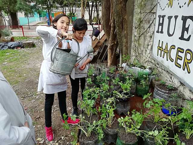 EMBELLECIMOS HUERTA CON PLANTAS